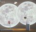 Light Atmosphere Bedroom Bedside Sleep Star Projection Night Plug-in Model Voice Remote Control Timer Moon Lamp_maomaolike.com