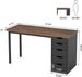 Computer Desk With 5 Drawers, Modern Study Table Writing DesW_maomaolike.com