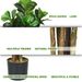 6-Feet Artificial Indoor-Outdoor Home Decorative Planter_maomaolike.com