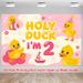 2nd Birthday Party Banner - 2D Flat Polyester Backdrop With Little Yellow Duck Theme, Wall Hanging Photo Props, Party Decor_maomaolike.com