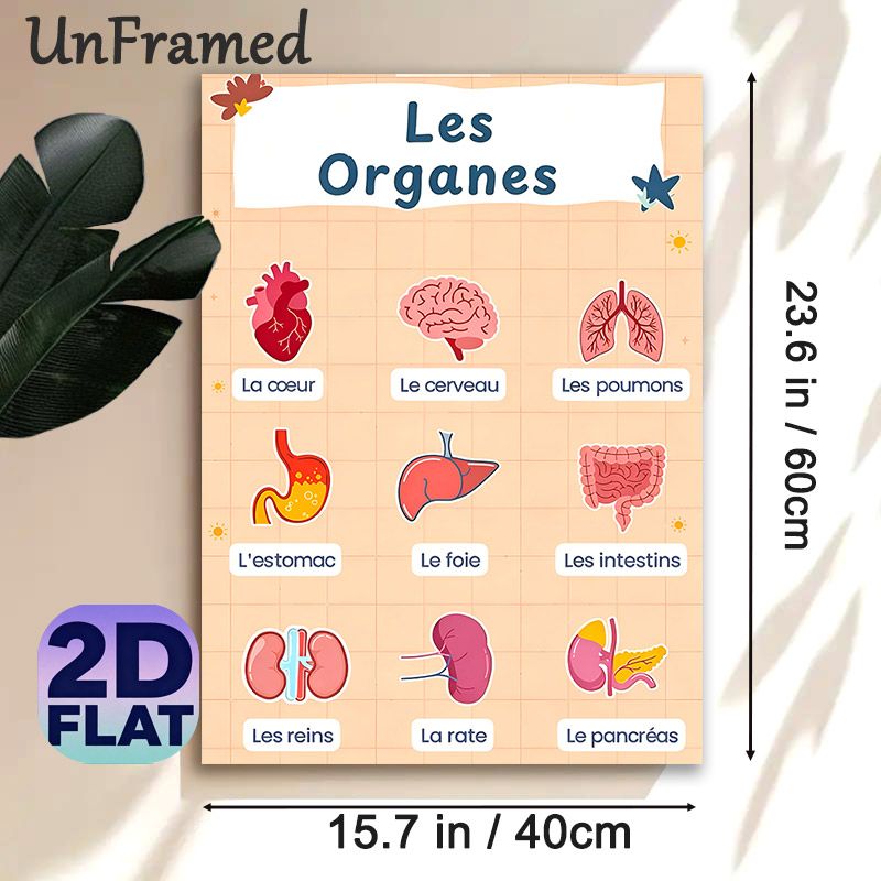 Human Organs Painting Poster, Vibrant Cartoon-style Organs With French Naming Labels Poster, Educational Visual Aid For Anatomy Learning, Suitable For_maomaolike.com