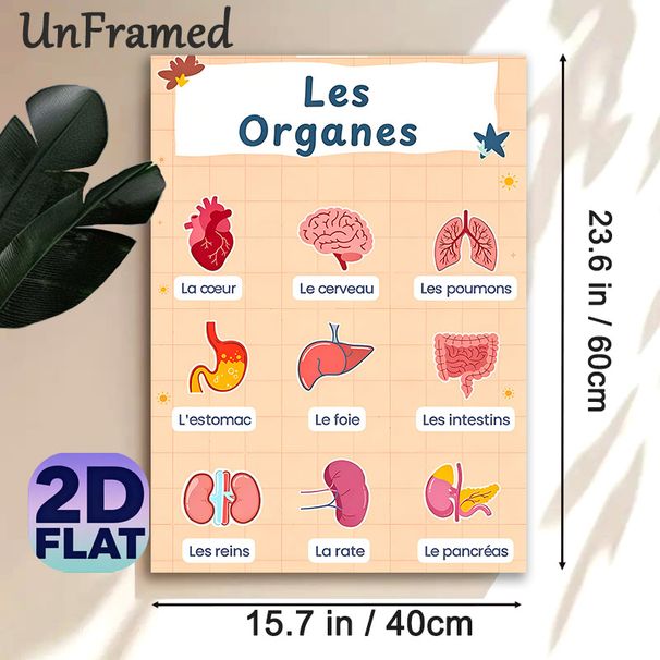 Human Organs Painting Poster, Vibrant Cartoon-style Organs With French Naming Labels Poster, Educational Visual Aid For Anatomy Learning, Suitable For_maomaolike.com