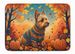 Australian Terrier Terrier Fall Memory Foam Kitchen Mat Machine Washable Anti-Fatigue Mat Cushion Comfort Bath Mat Or Kitchen Rug_maomaolike.com