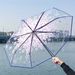 Transparent Cherry Blossom Pattern Folding Umbrella, 8 Ribs Casual Lightweight Portable Rain Gears For Men's & Women's Outdoor Activities_maomaolike.com