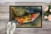 Brook Trout Doormat Front Door Mat Indoor Outdoor Rugs For Entryway, Non Slip Washable Low Pile, 24H X 36W_maomaolike.com
