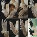 Unisex Wedding gloves Evening dress Black bridal Pearl short miss female short yarn lace hollowed-out satin bridal style_maomaolike.com