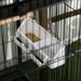 PawHut Large Bird Cage With 1.7 Ft. Width For Wingspan, Bird Aviary Indoor With Multi-Door Design, Fit For A Canary, Finch, Conure, 55", Black_maomaolike.com
