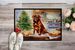 Dogue De Bordeaux Christmas Cookies Doormat Front Door Mat Indoor Outdoor Rugs For Entryway, Non Slip Washable Low Pile, 24H X 36W_maomaolike.com