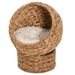 PawHut Handwoven Elevated Cat Bed With Soft Cushion & Cat Egg Chair Shape, Cat Basket Bed Kitty House With Stand, Raised Wicker Cat Bed For Indoor Cats, 23.5" H, Brown_maomaolike.com