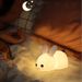 Colorful Rabbit Silicone Night Light Led Cute Charging Jade Rabbit Shooting Light_maomaolike.com