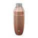 Stainless Steel Cocktail Shaker, Gold_maomaolike.com
