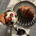 Great Artist Series Painted Bamboo Fiber Props Decoration Designer Zebra Plate High-end Color Block_maomaolike.com
