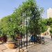 Metal Garden Arch With Gate With Planter W80.71*H97.24 Climbing Plants Support Rose Arch Outdoor Black_maomaolike.com