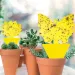 10-30PCS Yellow Non-Toxic Double-sided Sticky Traps Fly Paper Insect Glue Pest Control Catcher Flower Pot Gardening_maomaolike.com