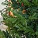 7.5 Ft Artificial Christmas Tree, Pine Hinged Xmas Tree With 1218 Realistic Branches, Steel Base, Auto Open, Green_maomaolike.com