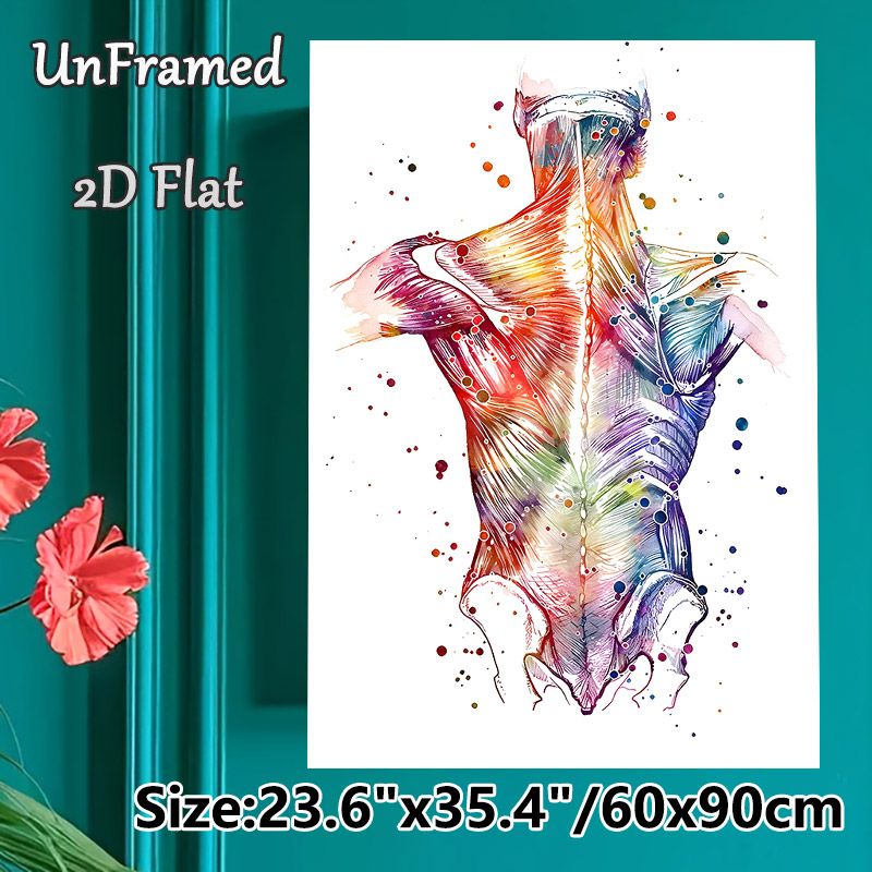 Human Back Muscle Anatomy Painting Poster, Vibrant Watercolor Splatter Style Poster, Informative Anatomical Art Ideal For Medical Clinic, Therapy_maomaolike.com