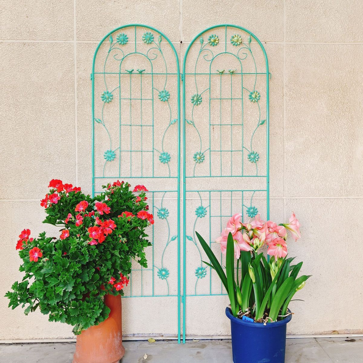 4 Pack Metal Garden Trellis 71" X 19.7" Rustproof Trellis For Climbing Plants Outdoor Flower Support_maomaolike.com