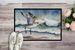 Sanderling Racing The Tide Doormat Front Door Mat Indoor Outdoor Rugs For Entryway, Non Slip Washable Low Pile, 24H X 36W_maomaolike.com