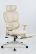 Ergonomic Office Chair With Footrest, High Back Computer Office Chair With Dynamic Lumbar Support, 2D Headrest, 2D Armrest, Sponge Seat, Mesh Home Office Desk Chair For Adults, CREAM_maomaolike.com