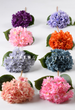 Hydrangea With Leaves, Wedding Decoration, Silk Photography Prop, Home Decor Fake Flower, Artificial Flower Wholesale_maomaolike.com