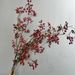 Artificial 13 Forks Large Clusters Mountain Return Fruit Vine Berry Wrapped Branch Floral Art Chinese Style Flower_maomaolike.com
