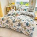 Printed Three-piece Set, One Duvet Cover And A Pair Of Pillowcases (unpadded), Suitable For Bedrooms, Hotels_maomaolike.com