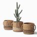 Nordic Style|Cement Flower Pot Retro Woven Basket Style Simple Creative Potted Plant Green Radish Round Fashionable_maomaolike.com