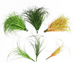 Nordic Ins-style Home Decor Single Reed Plant, Indoor Plant Wall, Artificial Reed, Onion Grass, Fake Flowers_maomaolike.com