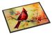 Cardinal Doormat Front Door Mat Indoor Outdoor Rugs For Entryway, Non Slip Washable Low Pile, 24H X 36W_maomaolike.com