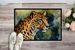 Leopard Doormat Front Door Mat Indoor Outdoor Rugs For Entryway, Non Slip Washable Low Pile, 24H X 36W_maomaolike.com