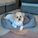 Dog Bed Washable Medium Dog Cat Sofa Bed Super Soft Rectangular Cuddle Pet Bed With Non-Slip Fluffy Bottom, Gift_maomaolike.com