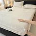 Winter Milk Velvet 2025 New Coral Thickened Fleece Mattress Protector Cover Bed Sheet_maomaolike.com
