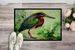 Green Heron Doormat Front Door Mat Indoor Outdoor Rugs For Entryway, Non Slip Washable Low Pile, 24H X 36W_maomaolike.com