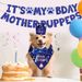 Dog Birthday Party Supplies, Boy Dog Birthday Bandana Set With Cute Dog Bowtie, Scarf, Birthday Banner Balloons And Hat With Numbers For Medium And Extra Large Dogs Pets(Blue)_maomaolike.com