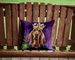 Bloodhound King Of Mardi Gras Throw Pillow Machine Washable, Indoor Outdoor Decorative Pillow For Couch, Bed Or Patio, 14Hx14W_maomaolike.com
