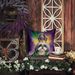 Shih Tzu King Of Mardi Gras Throw Pillow Machine Washable, Indoor Outdoor Decorative Pillow For Couch, Bed Or Patio, 18Hx18W_maomaolike.com