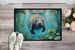 Manatee In A Crystal-Clear Spring Doormat Front Door Mat Indoor Outdoor Rugs For Entryway, Non Slip Washable Low Pile, 24H X 36W_maomaolike.com