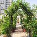 Metal Garden Arch With Gate W58.07*H97.24 Climbing Plants Support Rose Arch Outdoor Black_maomaolike.com