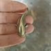 Small Metal Solid Catfish Handheld Piece Cast Micro Carving Bronze Tea Ceremony Pet Antique Ornament Creative_maomaolike.com