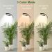 160 Large Disc Indoor Succulent Flowers Can Adjust The Height 10w Timed Plant Growth Fill Light Cross Border New Product_maomaolike.com