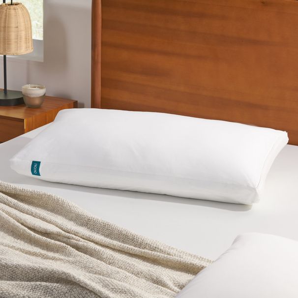 BED PILLOWWUxSBUbeauesUksgnjatg_maomaolike.com