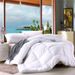 Manufacturer Dropshipping Winter Spring Autumn Brushed Embossed Thickened Single Double Group Purchase Gift Quilt Wholesale_maomaolike.com