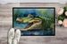 Crocodile Doormat Front Door Mat Indoor Outdoor Rugs For Entryway, Non Slip Washable Low Pile, 24H X 36W_maomaolike.com