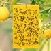 20-400Pcs Fruit Fly Traps Sticker Double Sided Strong For Garden Plant Bugs Mosquito Trap Insects Glue Sticky Board_maomaolike.com