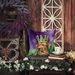 Rhodesian Ridgeback King Of Mardi Gras Throw Pillow Machine Washable, Indoor Outdoor Decorative Pillow For Couch, Bed Or Patio, 14Hx14W_maomaolike.com