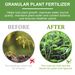 Yegbong Plant Nutrient, Flower Pot Lawn Green Leaf Plant Fertilizer Root Growth Nutrient_maomaolike.com