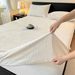 Winter Milk Velvet 2025 New Coral Thickened Fleece Mattress Protector Cover Bed Sheet_maomaolike.com