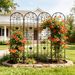 4 Pack Metal Garden Trellis 86.7 X 19.7 Rustproof Trellis For Climbing Plants Outdoor Flower Support Black_maomaolike.com