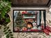 Siberian Husky Cozy Christmas Doormat Front Door Mat Indoor Outdoor Rugs For Entryway, Non Slip Washable Low Pile, 24H X 36W_maomaolike.com