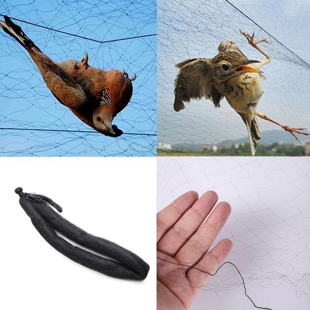 Anti Bird Catcher Netting Pond Fishing Net Traps Crops Fruit Tree Flower Garden Mesh Pest Control Tools Dropship_maomaolike.com